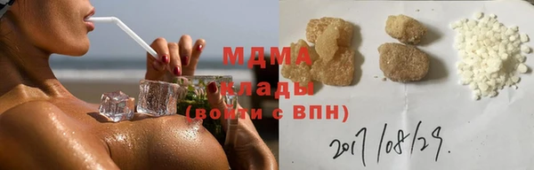 spice Богородицк